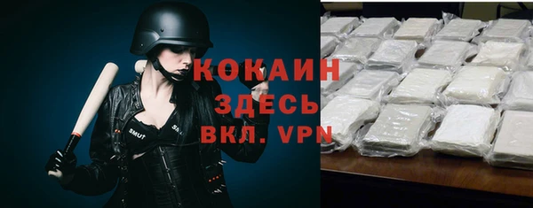 кокс Алексин