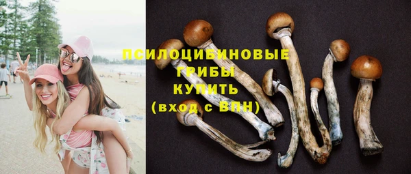 тгк Абинск