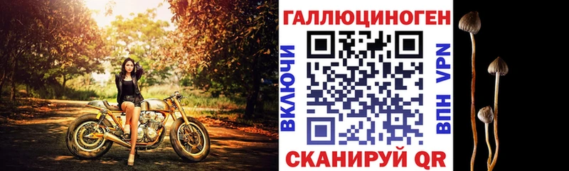 сайты даркнета какой сайт OMG зеркало Заозёрный Галлюциногенные грибы Psilocybe